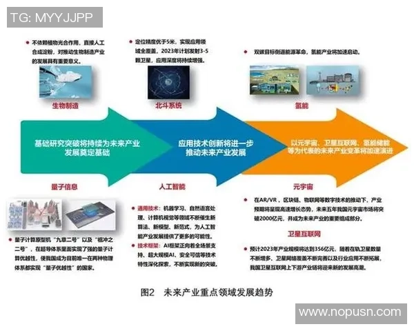 武汉篮球队的节奏与战术分析聚焦球队发展与未来展望