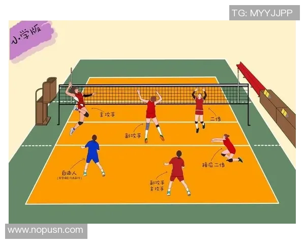 北京排球队盯防战术解析：排球深度探讨与实践经验分享